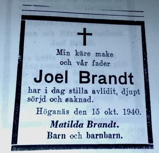 joelbrandt.jpg